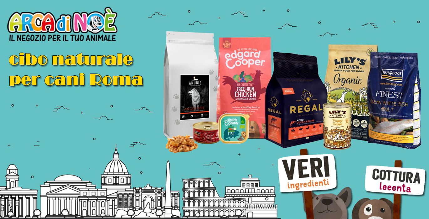 You are currently viewing Cibo naturale per cani a Roma