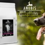 ANUBIS dog food